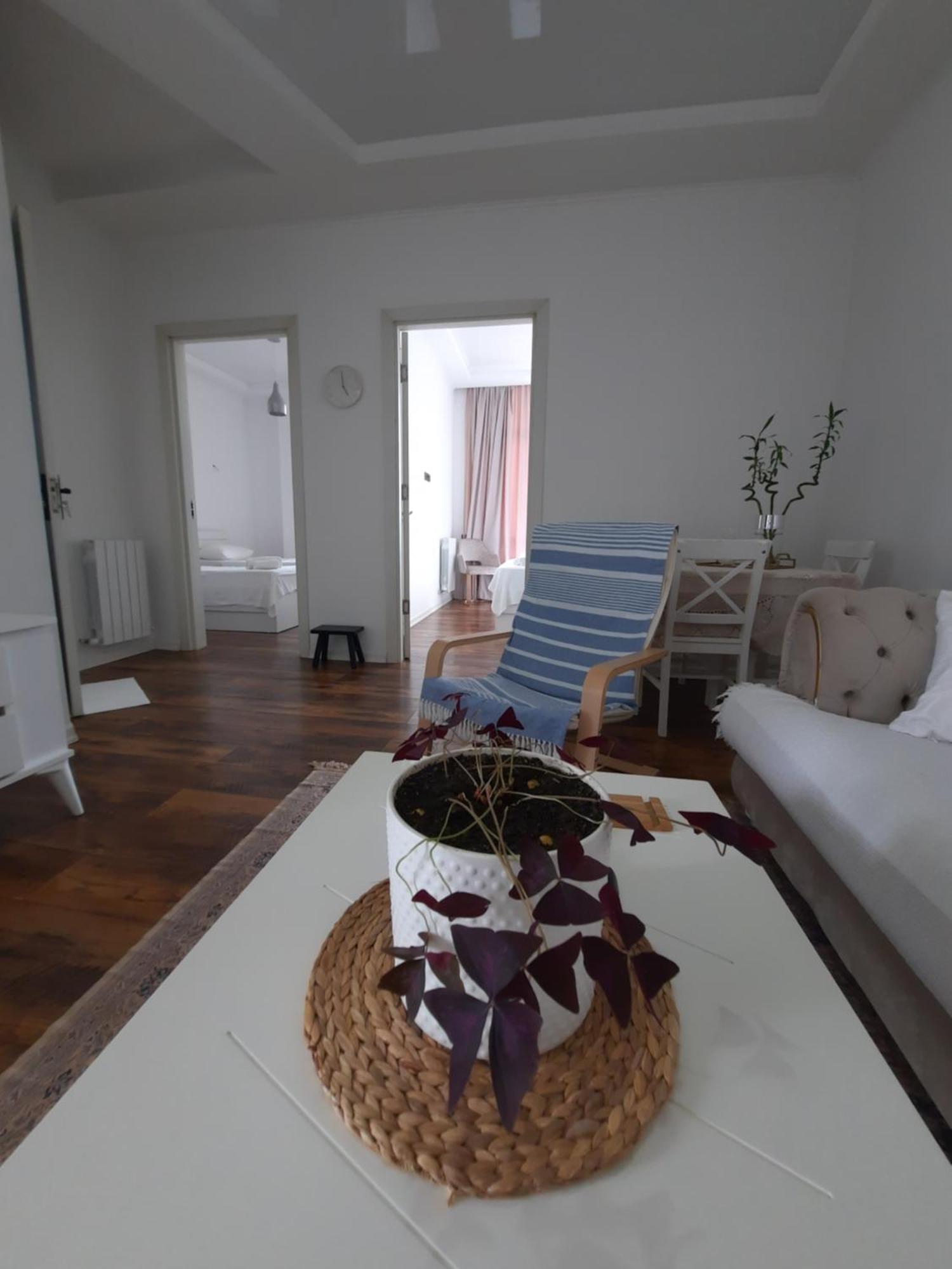 Sofia'S Apartment In Kobuleti Bagian luar foto